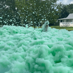 Color Foam Party